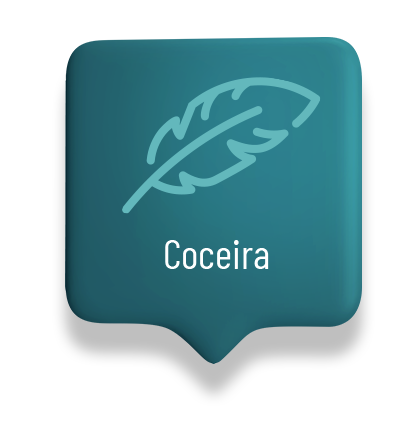 Coceira